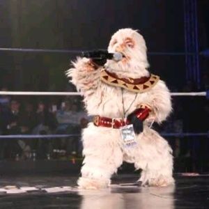 Meet your Posher, Obed